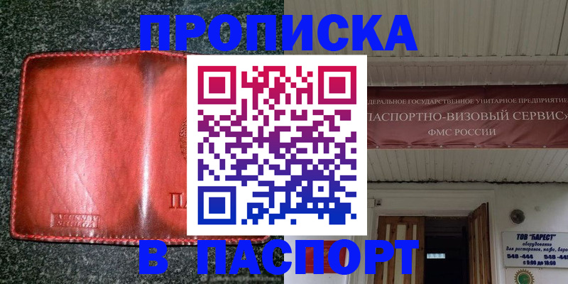 временная прописка в Бабаево
